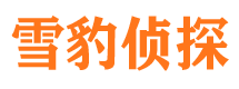 施秉找人公司